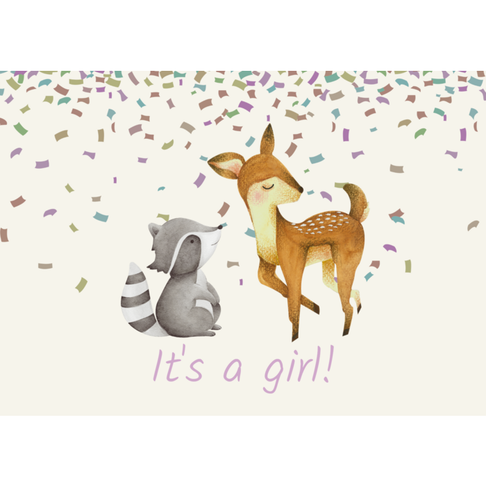Kaartje ‘It’s a girl’ • Rammelaartje